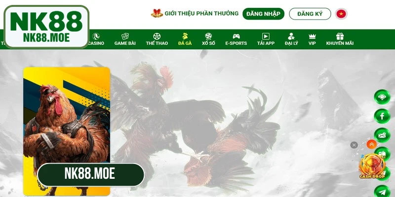 Đá gà NK88 là hình thức đặt cược trực tuyến vào các trận đấu gà chọi